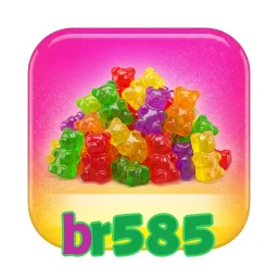 br585