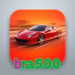 bra500